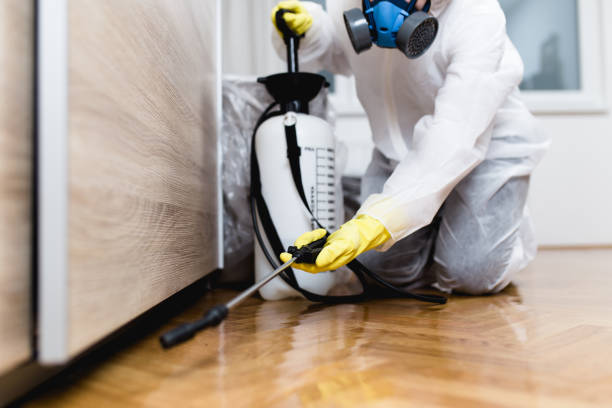 Best Local Pest Control Services  in Sorrento, LA