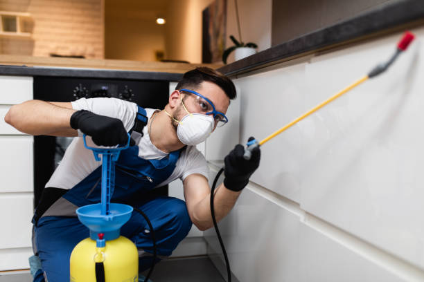 Best Emergency Pest Control  in Sorrento, LA