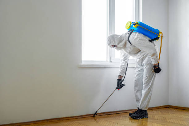 Best Wildlife Control Services  in Sorrento, LA